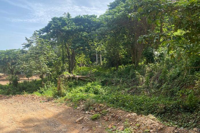 02-sale-plot-T-VI-2-las terrenas