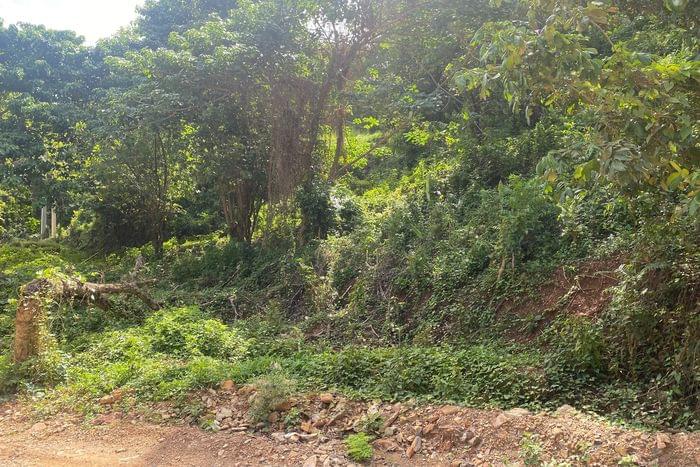 04-sale-plot-T-VI-2-las terrenas