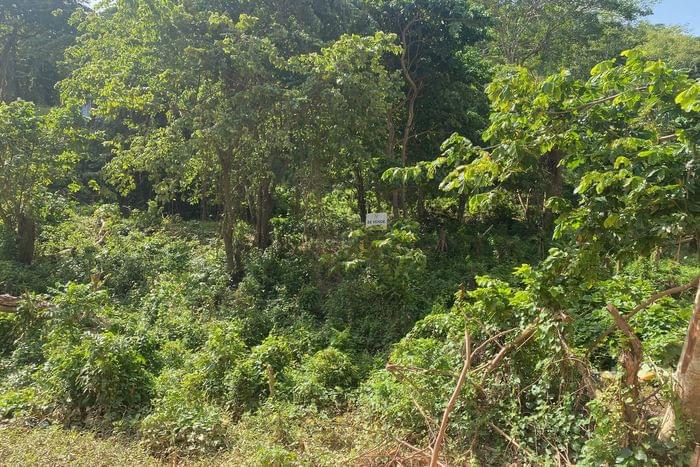 05-sale-plot-T-VI-2-las terrenas