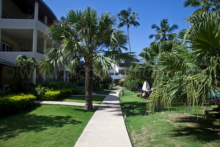 alisei 34 sale appartement las terrenas 02
