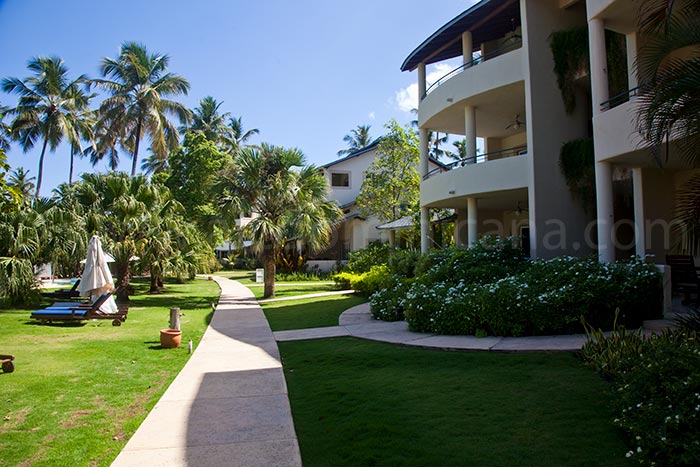 alisei 34 sale appartement las terrenas 04