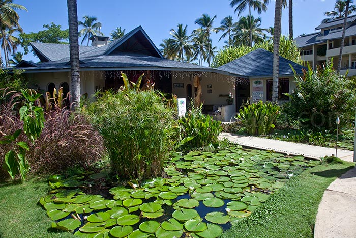 alisei 34 sale appartement las terrenas 19