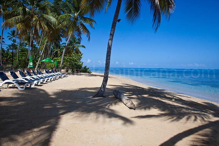 alisei 34 sale appartement las terrenas 27