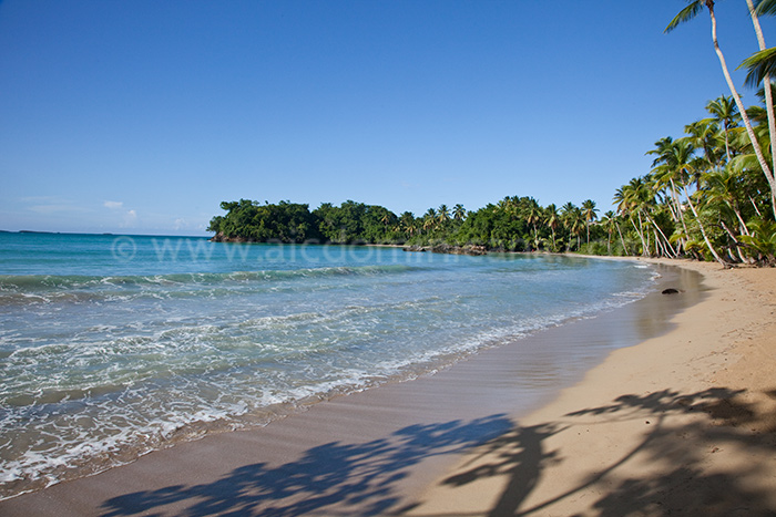 appartement bonita beach residence sale appartement las terrenas 18