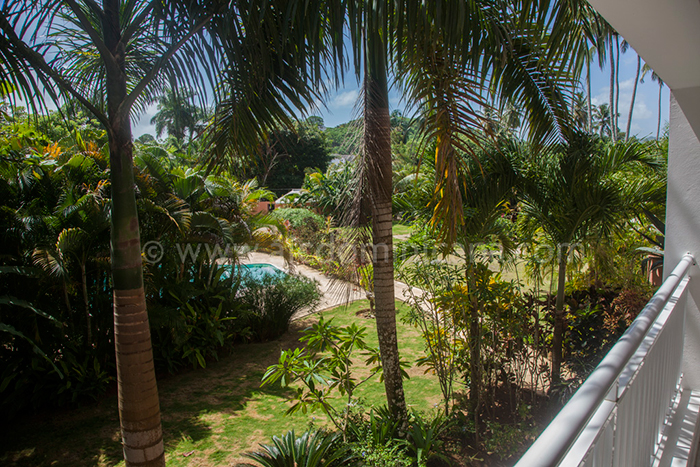 caoba regis sale appartement las terrenas 07