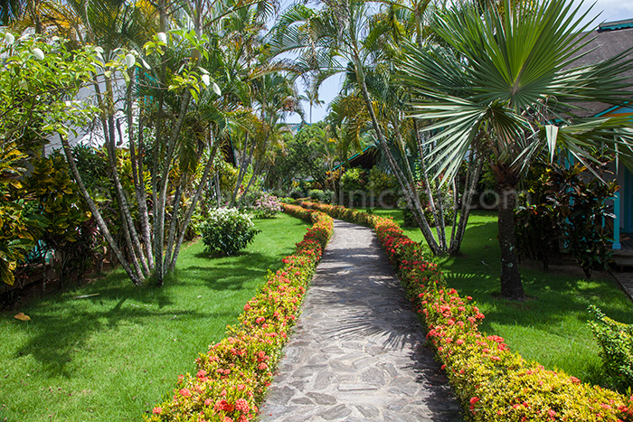 garden las palmas rental bungalow las terrenas 02