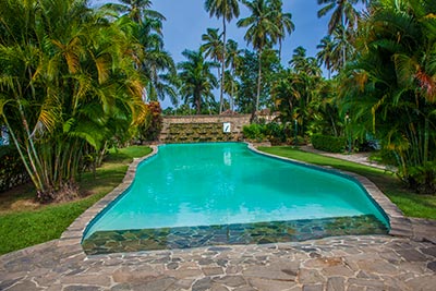 Cottora Azul