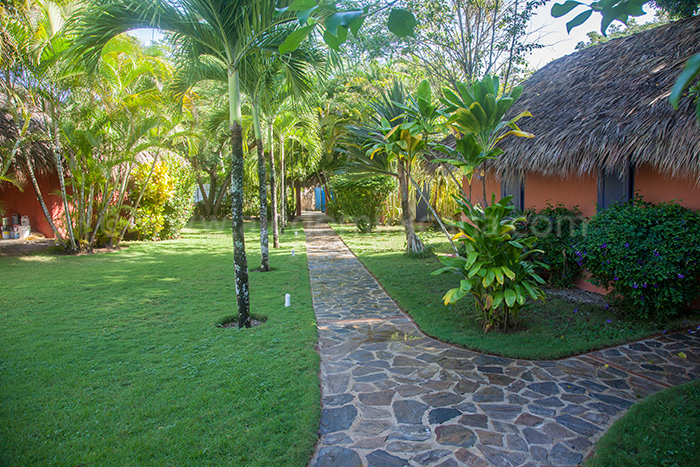 villa havana rental villa las terrenas 26