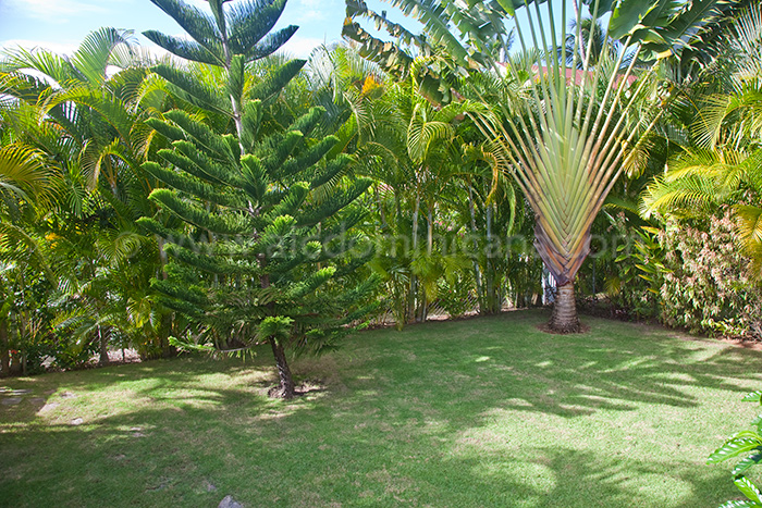 passiflora sale villa las terrenas 04