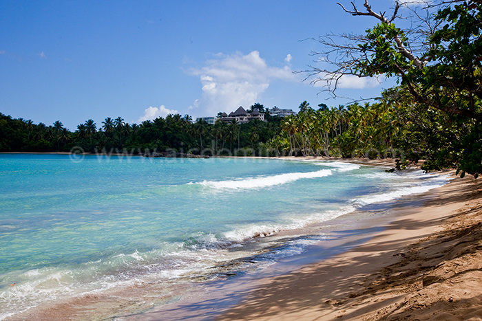 villa querida rental villa las terrenas 32