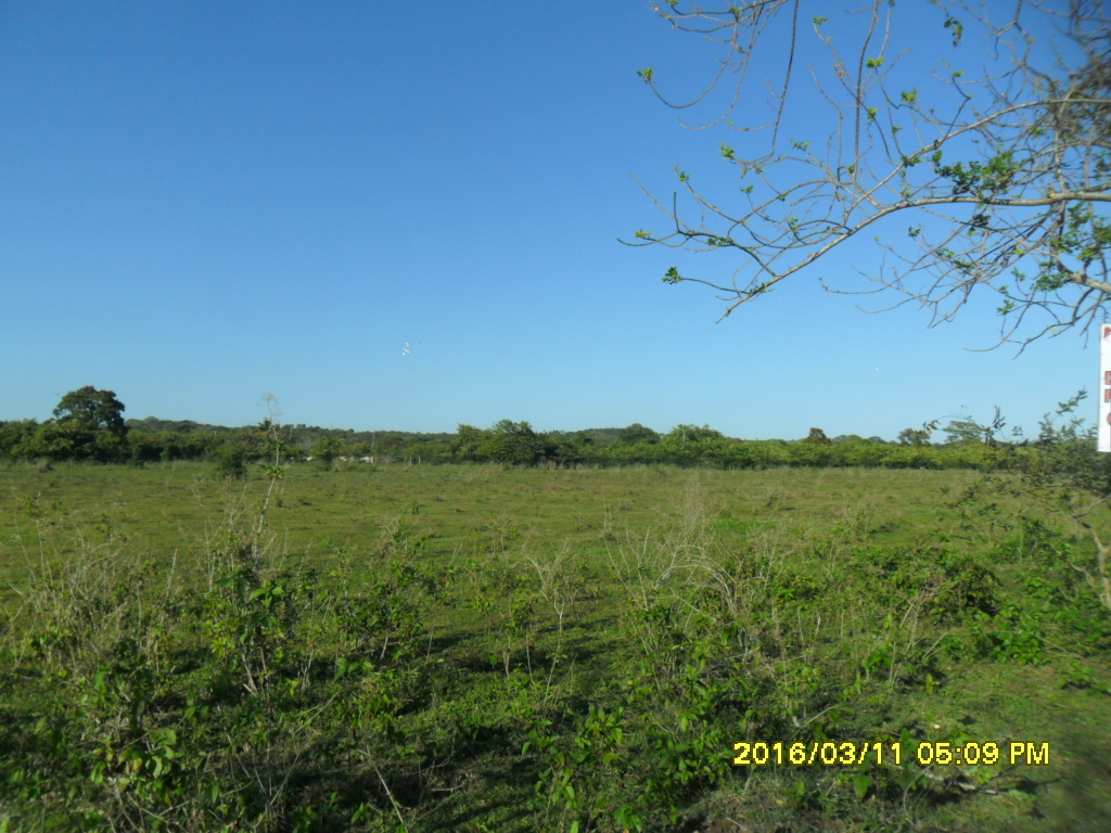 Finca Mercado Santo Domingo