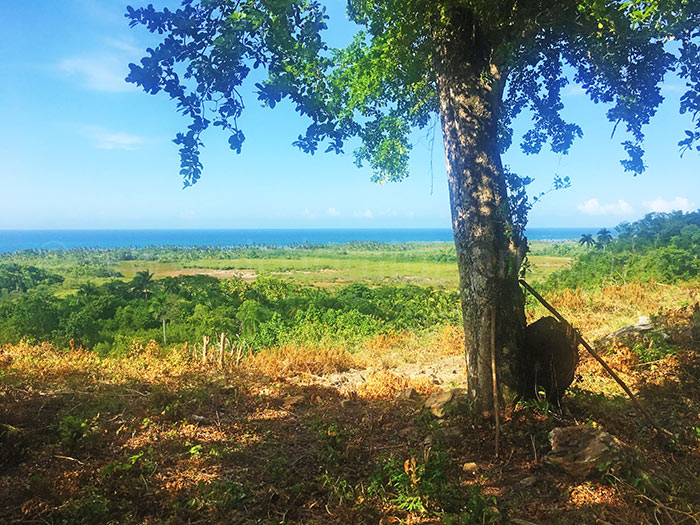 Plot for sale Loma Esperanza, La Barbacoa