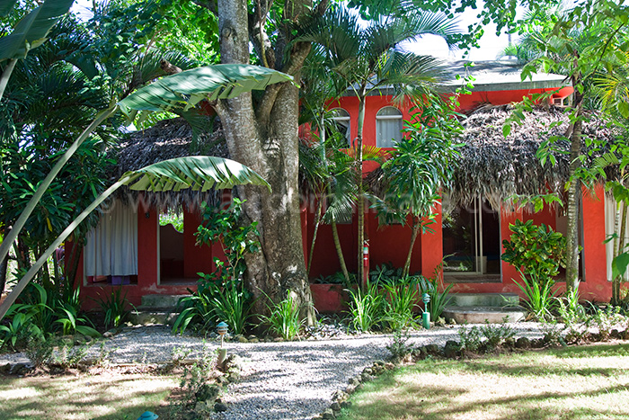 hotel la tortuga 09