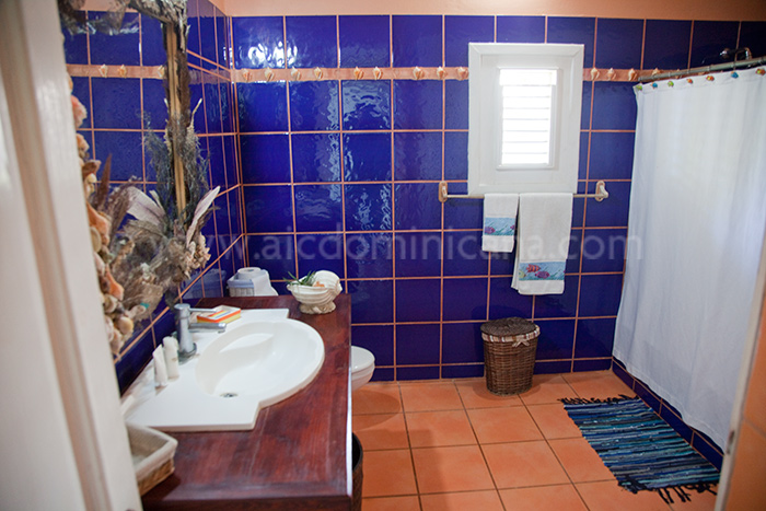 villa clara ines rental villa las terrenas 16