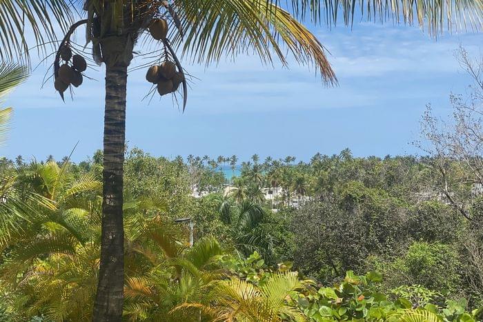 01 for sale penthouse colinas al mar coson las terrenas