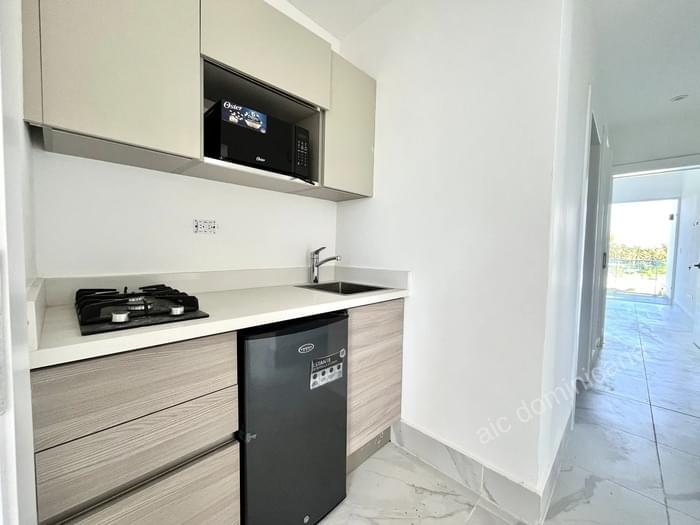 Sale penthouse dos palmas las terrenas15