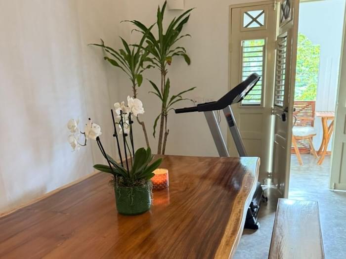 Plantation pavlova sale property las terrenas 03