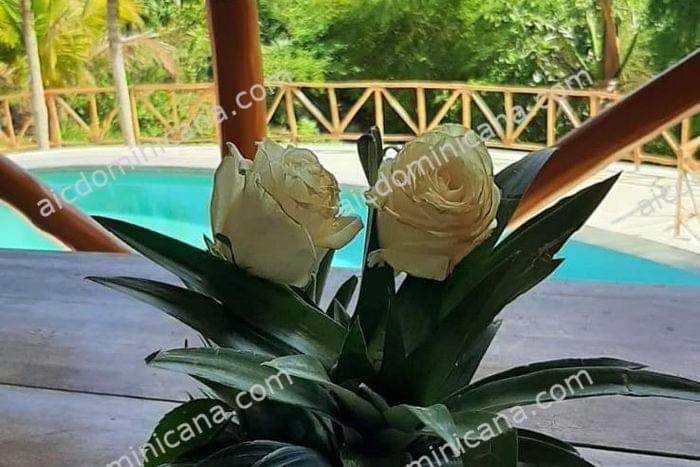 019 casa barbacoa sale property las terrenas