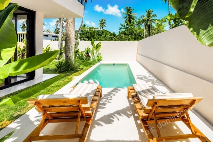 00008 villa for sale 4 bedroom property in coson las terrenas