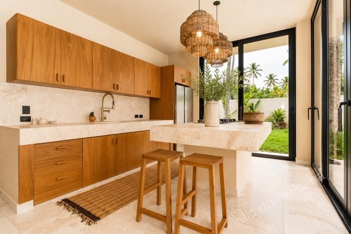 00009 villa for sale 4 bedroom property in coson las terrenas