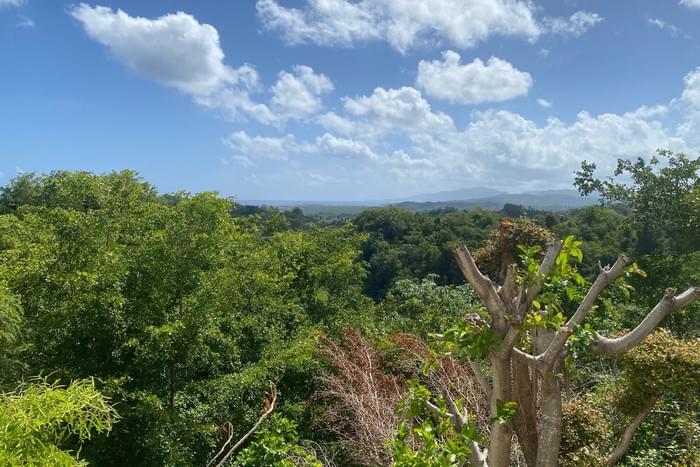 22 4 bedroom villa for sale villa toscana property las terrenas