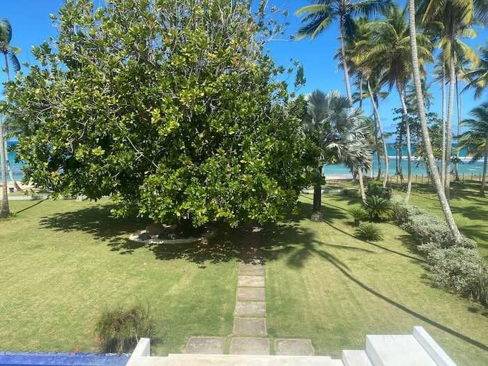 010 villa cotora sale property las terrenas